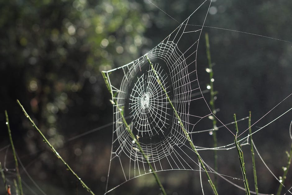 Descubre las mejores empresas para crear páginas web y lleva tu negocio al siguiente nivel