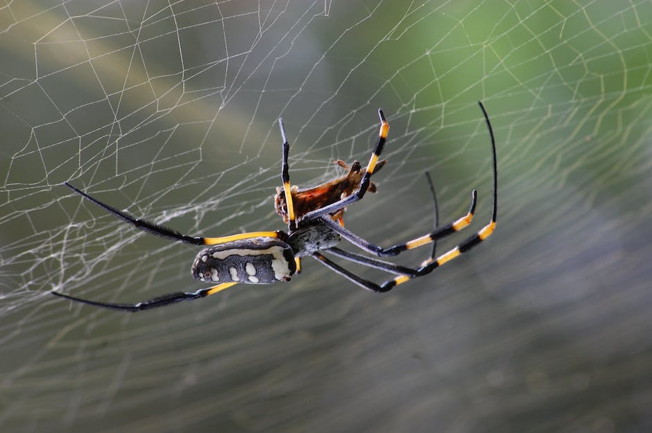 Mejores webs para crear webs